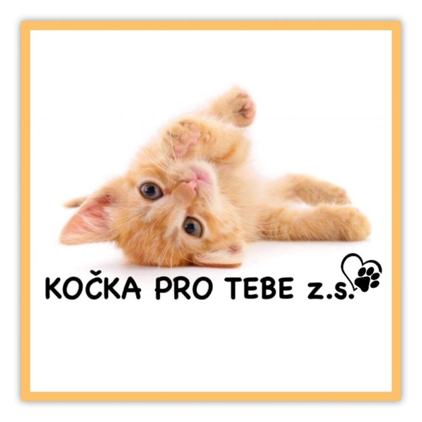 Krmivo pro útulek: Kočka pro tebe z.s. - Zvolte balení: 5500,- Kč / 1000 ks Krmiva