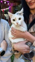 Krmivo pro útulek: Srdcem pro chlupáče z.s.