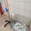 Krmivo pro útulek: Kočičí domov Sissi - Zvolte balení: 1375,- Kč / 250 ks Krmiva
