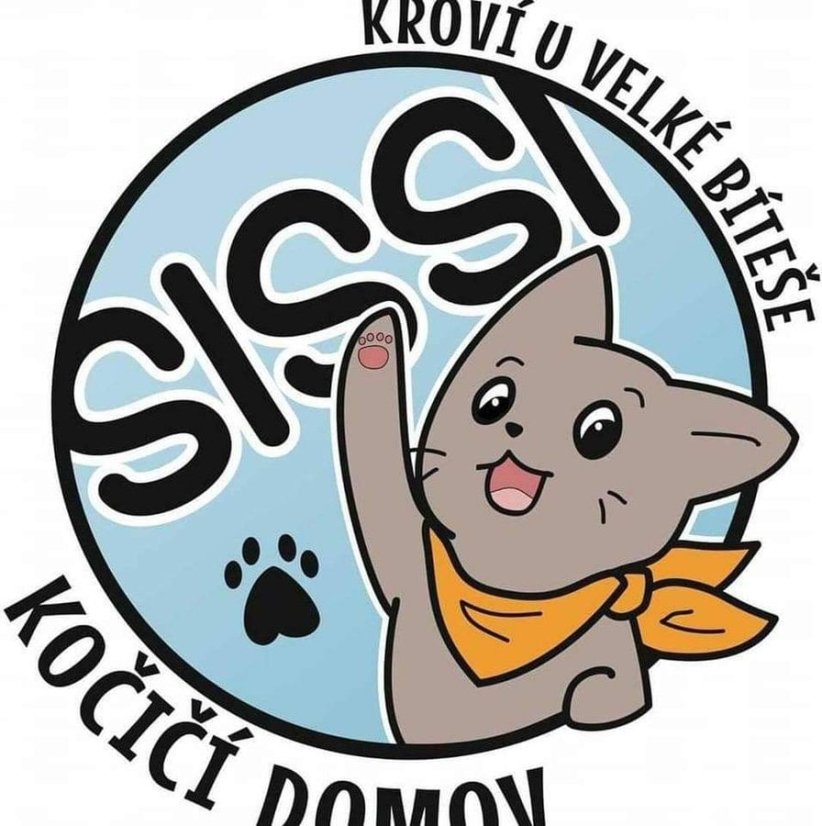 Krmivo pro útulek: Kočičí domov Sissi