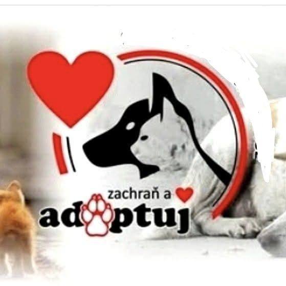 Krmivo pro útulek: Srdcem pro chlupáče z.s.