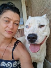 Krmivo pro útulek: Andělé zvířat bez hranic z.s. (pejsci)