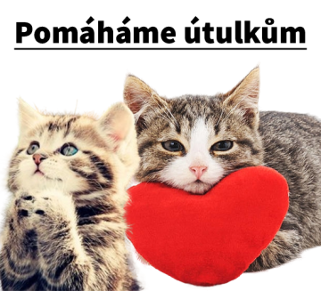 Pomáhejme útulkům - Zvolte částku pro pejsky - 2200,- Kč / 278 ks Krmiva